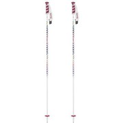 Wライン AL215-00 100cm 2本セット [スキー ストック レディース]