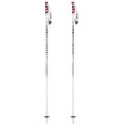 Wライン AL215-00 105cm 2本セット [スキー ストック レディース]