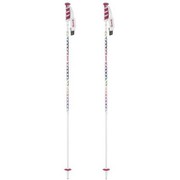 Wライン AL215-00 120cm 2本セット [スキー ストック レディース]