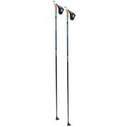 クアンタム6 RCQ60-00  155cm [バックカントリー用 ストック]