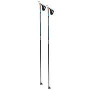 クアンタム6 RCQ60-00  150cm [バックカントリー用 ストック]