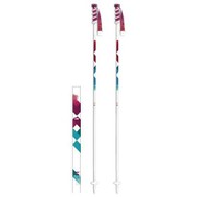 Wライン 2 AL217-00 100cm 2本セット [スキー ストック レディース]