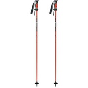 ザ・フリート 18P-15RD RD 105cm 2本セット [スキー ストック]
