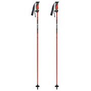 ザ・フリート 18P-15RD RD 120cm 2本セット [スキー ストック]