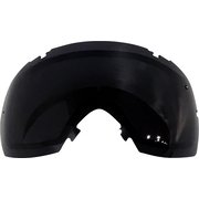 I/OX LENS CP Sun Black スキー スノーボード スペアレンズ 010233200