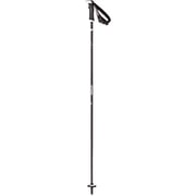 AMT CARBON SQS AJ5005464110 Black/White 110cm 2本セット [スキー ストック]