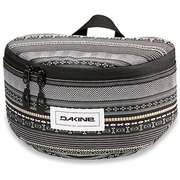 AI237176 ZINFDAKINE_GOGGLE STASH F ZIN [スキー ゴーグル 一般モデル]