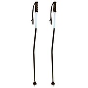 JR GS オリジナルカラー KPAH-IC01 BK/WT 95cm 2本セット [スキーストック レーシング]