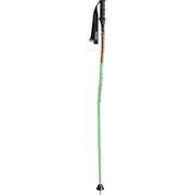 KPAH-0093 Fグリーン115レーシングコンプGS 115cm Fグリーン 2本セット [スキーストック レーシング]