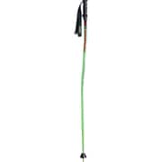 KPAH-0093 Fグリーン123レーシングコンプGS 123cm Fグリーン 2本セット [スキーストック レーシング]