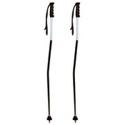 JR GS オリジナルカラー KPAH-IC01 BK/WT 100cm 2本セット [スキーストック レーシング]