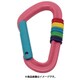 3465140 ピンクFプラスチックカラビナ レインボー F ピンク [アクセサリーカラビナ]