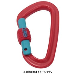 sunsea サンシー Karabiner CLIP カラビナ+storksnapshots.com