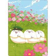 北海の魔獣あざらしさん B6下敷き/こざらし電車 [キャラクターグッズ]