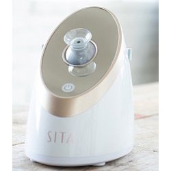 最終お値下げ❣️【新品未使用品】ＳITA炭酸フェイシャルスチーマー 最終お値下げ❣️【新品未使用品】SITA炭酸フェイシャルスチーマー