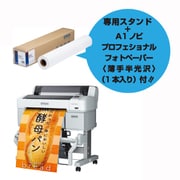 大判インクジェットプリンター（SC-T3255）+プロフェッショナルフォトペーパー（薄手半光沢 A1ノビ）+専用スタンド SC-T32RC9