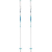 FROZEN JR RDG6060 100cm 2本セット [スキー ストック ジュニア]