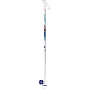 FROZEN JR RDH6080-085 085 2本セット [スキー ストック ジュニア]