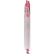 FUN J RDGJ006 100cm 2本セット [スキー ストック ジュニア]