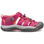 ニューポート エイチツー NEWPORT H2 1014267 Verry Berry/Fusion Coral YOUTH1(20cm) [サンダル キッズ]