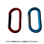 6511600015 オーバルストレートゲート 710C [カラビナ・クイックドロー]