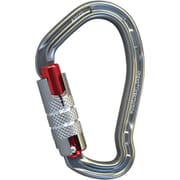 テトンクイックロック AMG11107/2T グレー [カラビナ]