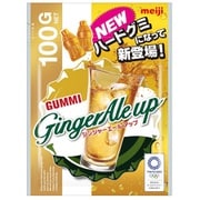 ジンジャーエールアップ 100G