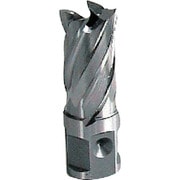 大見 25SQハイスカッター 11.5mm HCSQ115