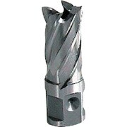 大見 25SQハイスカッター 12.0mm HCSQ120