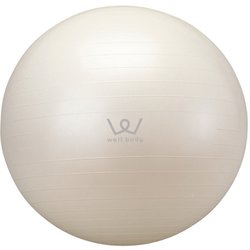 アルインコ Alinco Wbn065 エクササイズボール 65cm 通販 全品無料配達 ヨドバシ Com