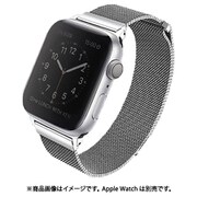 Dante Apple Watch ステンレスメッシュバンド 44mm SV