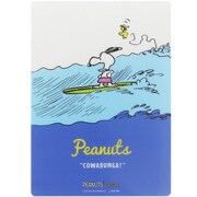 [限定]下敷 PNPS サーフ S4136870