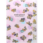 [限定]Dクリアファイル5P DCHN/C＆DP S2121166