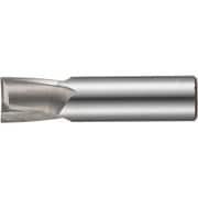 FKD キー溝用エンドミル(プラス公差) 2枚刃 刃径29mm×全長100mm KE-OH-29