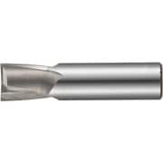 FKD キー溝用エンドミル(マイナス公差) 2枚刃 刃径29mm×全長100mm KE-OL-29