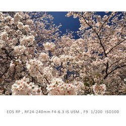 ヨドバシ.com - キヤノン Canon RF24-240mm F4-6.3 IS USM [ズーム