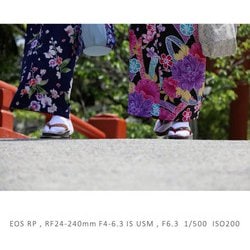 ヨドバシ.com - キヤノン Canon RF24-240mm F4-6.3 IS USM ヨドバシ.com - キヤノン Canon RF24-240mm F4-6.3 IS USM