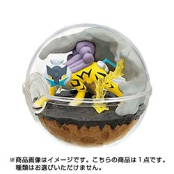ポケモン　テラリウムコレクション7　大人買い　リーメント ポケモン テラリウムコレクション7 大人買い リーメント