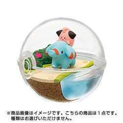 ポケモン　テラリウムコレクション7　大人買い　リーメント ポケモン テラリウムコレクション7 大人買い リーメント