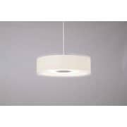 LEDデザインペンダントライト ホワイトオーク PLM12D-ADWO