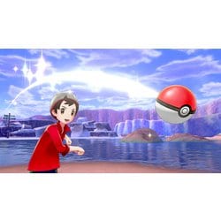 Amazon.co.jp: ポケットモンスター ソード・シールドA -Switch