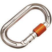 Wall Micro Oval 2210-01270 1602_Twist Lock gr [カラビナ]