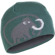 Tweak Beanie 1090-01351 4569_bottle-titanium [アウトドア 帽子]