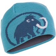 1090-01351 Tweak Beanie 5947 aqua-orion [アウトドア 帽子]