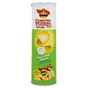 ミスターポテト ポテトチップス サワークリーム＆オニオン味 160g