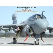 FLP-001 アメリカ海兵隊 EA-6B プラウラー 実機画像 Photo CD [フォトCD]