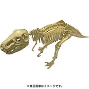 DMK01 恐竜化石発掘モデル ティラノサウルス