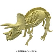 DMK03 恐竜化石発掘モデル トリケラトプス