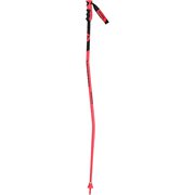 HERO GS-SG RDH1010 135㎝ 2本セット [スキー ストック レーシング]