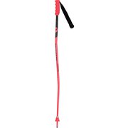 HERO GS-SG JR RDH6000 115cm 2本セット [スキー ストック ジュニア レーシング]
